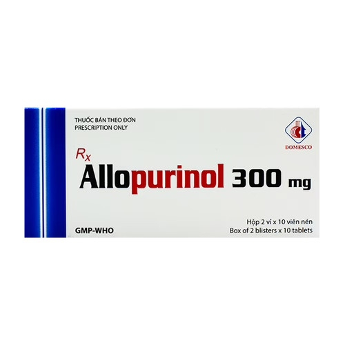 Allopurinol 300mg Domesco (H/20v) (HỘP)