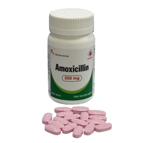 Amoxicillin 250mg - Domesco (C/100v) (CHAI)