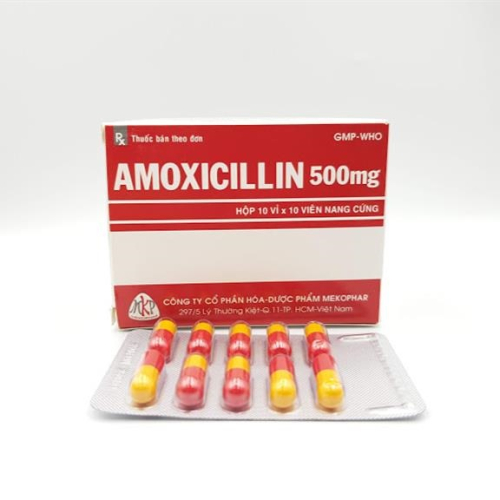 Amoxicillin 500 Mekophar (H/100v) (Hộp)