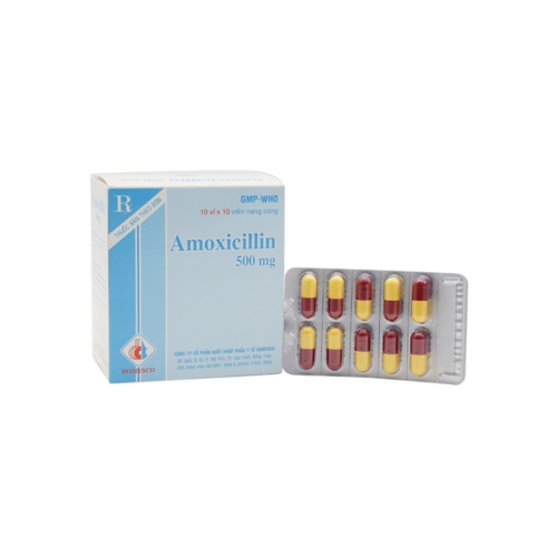 Amoxicillin 500mg Domesco (H/100v) (HỘP)