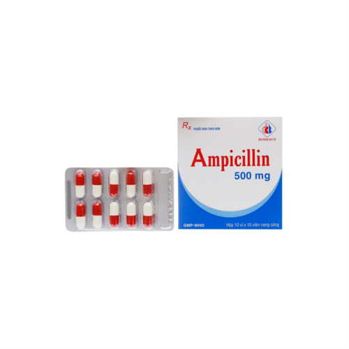 Ampicillin 500mg Domesco (H/100v)(TT) (HỘP)