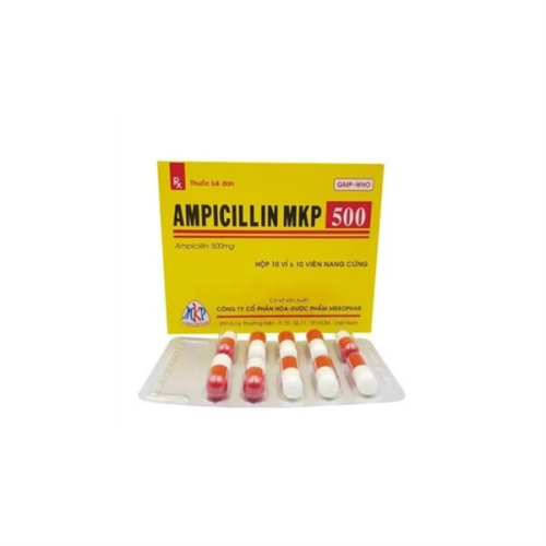 Ampicillin 500mg Mekophar (H/100v)(TT) (HỘP)