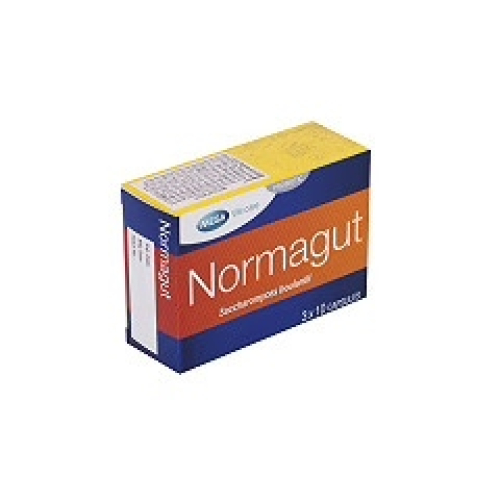Normagut 250mg Mega (H/30v) (HỘP)