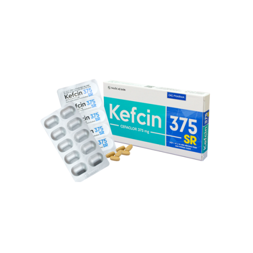 Kefcin 375 SR (T/204H/10v) DHG(TT) (HỘP)