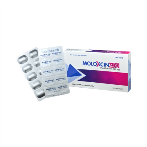 Moloxcin 400 (T/132H/10v) DHG (HỘP)