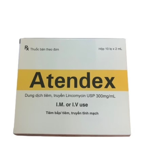 Atendex Lincomycin 300mg/Ml Makcur (H/10c/2ml) (HỘP 10 LỌ)