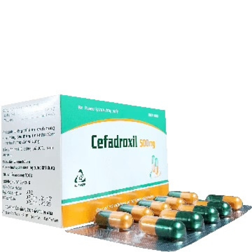 Cefadroxil 500mg Tv. Pharma (H/100v) (Cam) (HỘP)