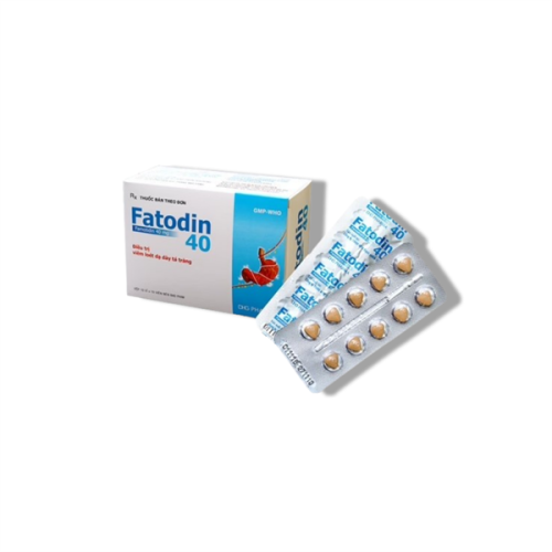 Fatodin (Famotidin 40mg) Dhg (T/126H/100v)(TT) (HỘP)