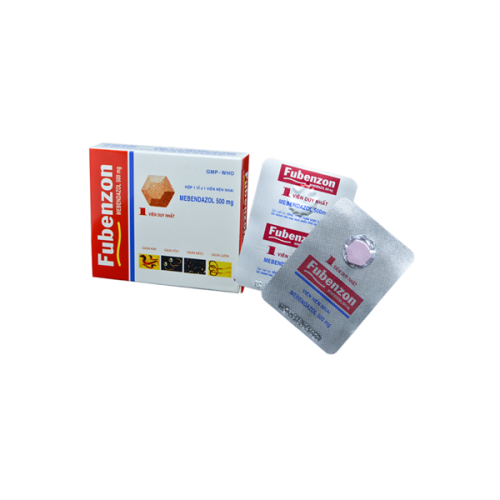 Fubenzon 500mg (T/480H/1v) DHG(TT) (HỘP)