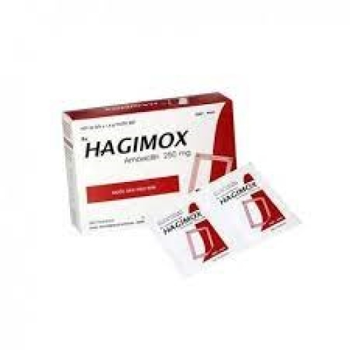 Hagimox (Amoxicillin 250mg) DHG (T/144H/24goi)(TT) (HỘP)