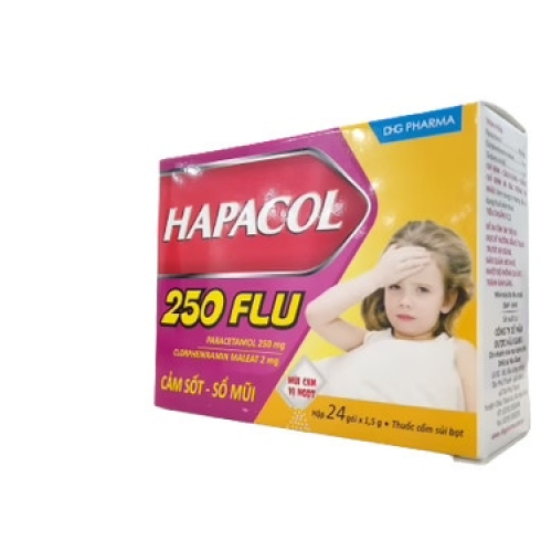 Hapacol 250 Flu Dhg (T/144H/24g)(TT) (HỘP)