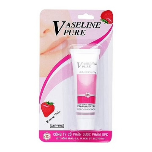 Vaseline Pure Dâu Opc (H/12Tuýp/10gr) (TUÝP)