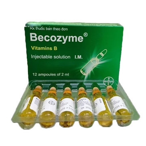Becozyme Bayer (H/12o/2ml) (HỘP)
