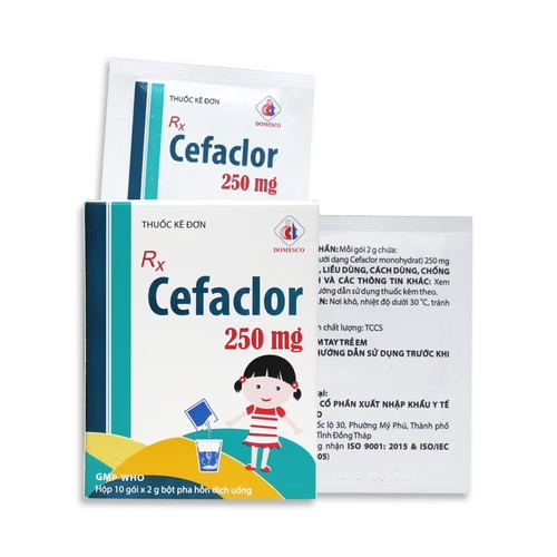 Cefaclor 250mg Domesco (H/10G/2g) (Hộp)