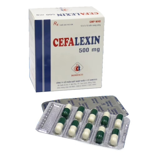 Cefalexin 500mg Domesco (H/100v) (HỘP)