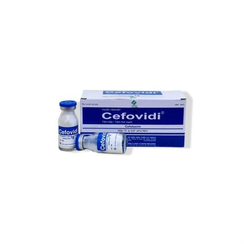 Cefovidi Cefotaxim 1g (H/10c/1gr) (HỘP)