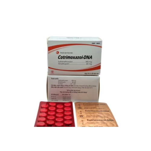 Cotrimoxazol Dna 480mg Dna Pharma (T/100H/200v) (HỘP)