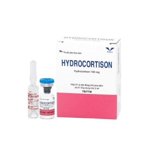 Hydrocortison 100mg Bidiphar (T/192H/1l) (HỘP)